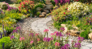 pflanzen-kombinieren