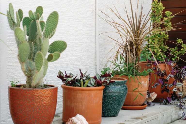 Pflanzkübel für draußen: Welche Materialien eignen sich für Garten und Terrasse?