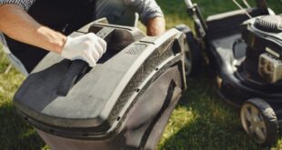 Rasenmäher für kleine Gärten: Kompakte Geräte im Überblick