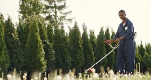 Rasentrimmer mit Akku: Die besten Geräte für Rasenkanten und schwer erreichbare Stellen