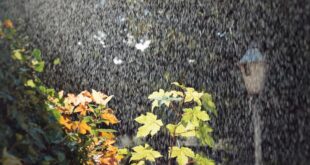 Regensammler für das Fallrohr: Regenwasser einfach in der Regentonne sammeln