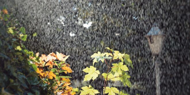 Regensammler für das Fallrohr: Regenwasser einfach in der Regentonne sammeln
