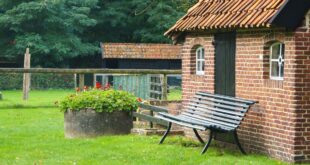 Regentonne Größe: Welche Kapazität passt zu deinem Garten?