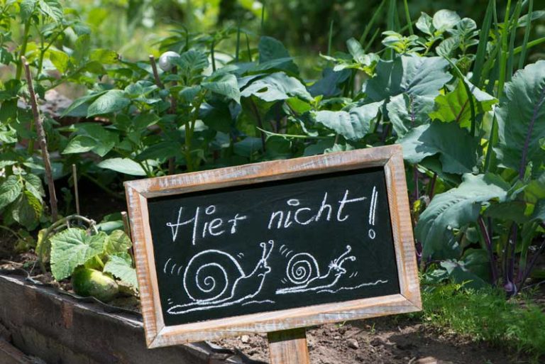 schneckenabwehr-garten