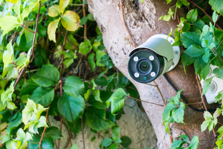 Sicherheit im Garten