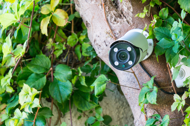 Sicherheit im Garten