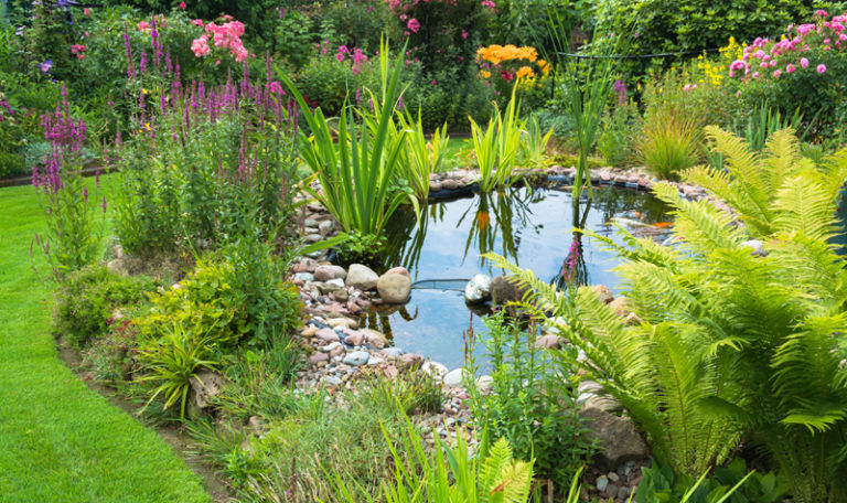 teich-garten
