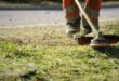 Teleskop-Heckenschere: Hohe und breite Hecken leichter schneiden