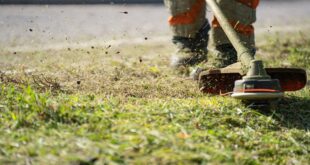 Teleskop-Heckenschere: Hohe und breite Hecken leichter schneiden