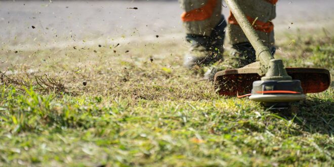 Teleskop-Heckenschere: Hohe und breite Hecken leichter schneiden