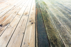 Wie entferne ich Moos von der Terrasse? Garten Blog