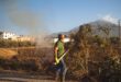 Unkrautbrenner: Gas oder elektrisch - welche Variante eignet sich besser?
