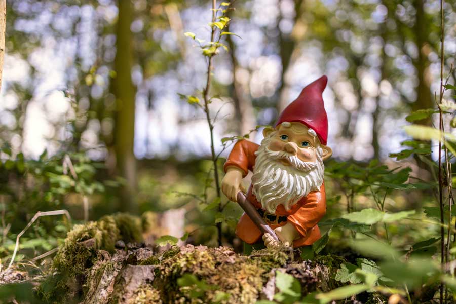 welt-der-gartenzwerge