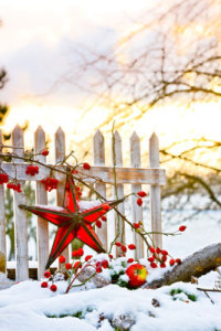 Winterdeko-Ideen für den Garten - Garten Blog