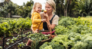 zutaten-aus-eigenem-garten