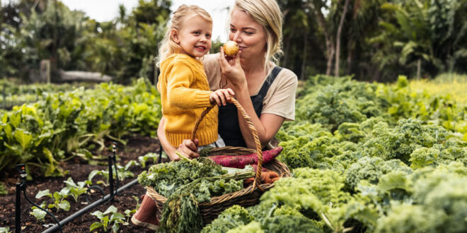zutaten-aus-eigenem-garten