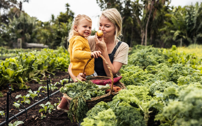 zutaten-aus-eigenem-garten
